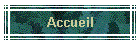 Accueil